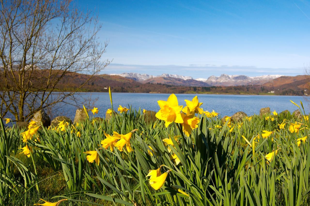 Ivythwaite Lodge Guest House Windermere Esterno foto